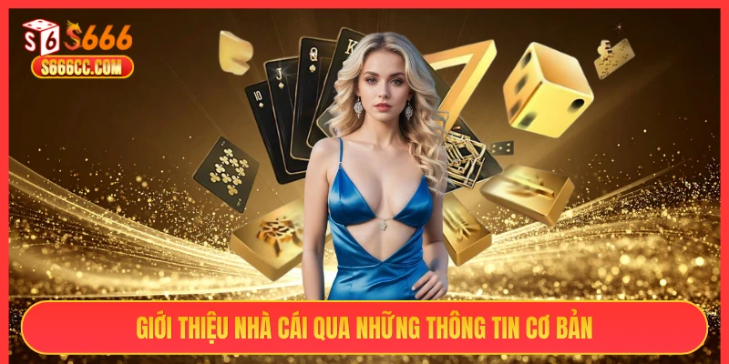 Giới thiệu nhà cái S666 qua những thông tin cơ bản