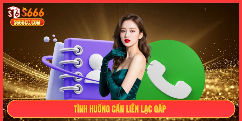 Tình huống cần liên lạc gấp S666